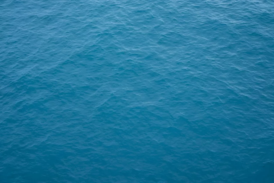Surface d'eau bleue parcourue de vagues douces