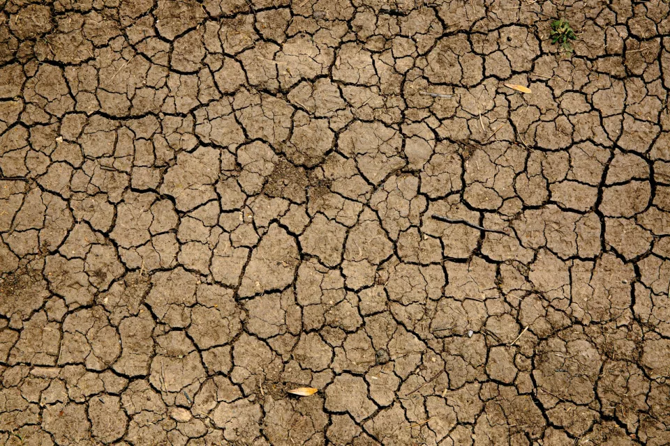 Terre sèche parcourue d'un réseau de fissures profondes